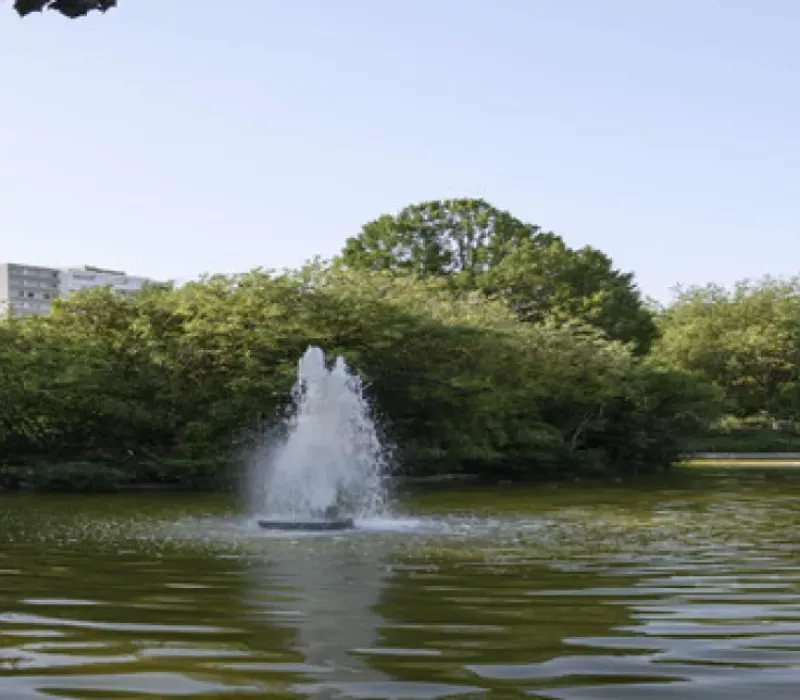 Parc Léon Salagnac 
