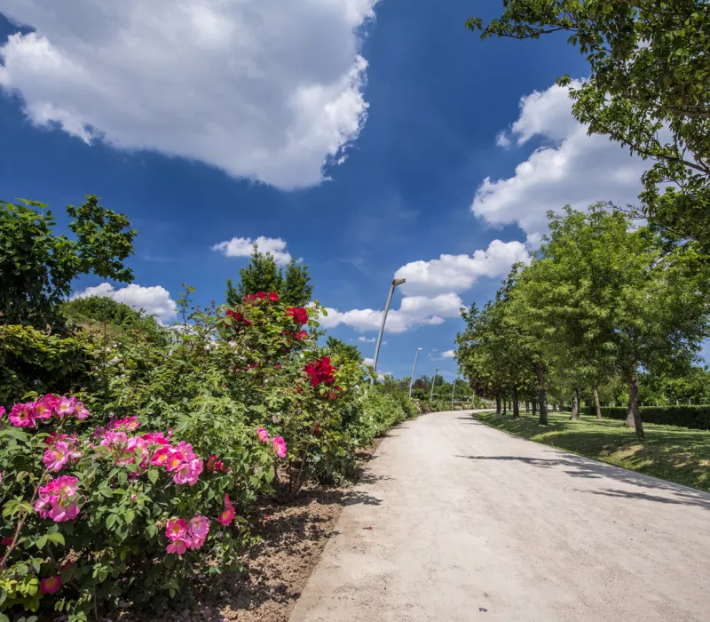 Parc-des-Hautes-Bruyères