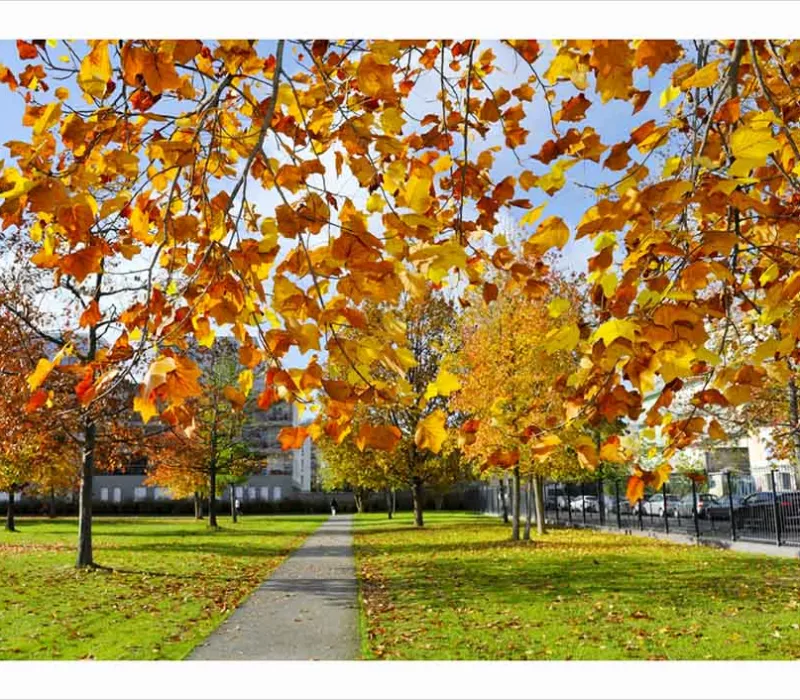 Parc-départemental-des-Cormailles